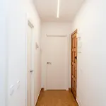 Dani * 波连斯萨