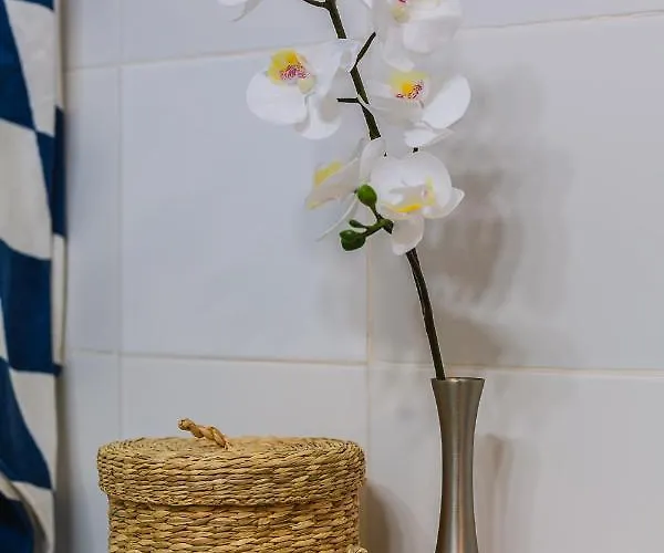 Dani Διαμέρισμα Pollença